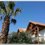 Olive Tree Cottages